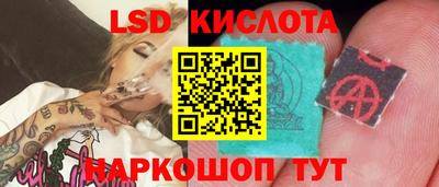 стафф Бийск