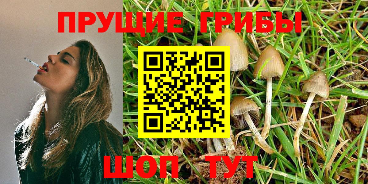 Псилоцибиновые грибы Cubensis Волгоград