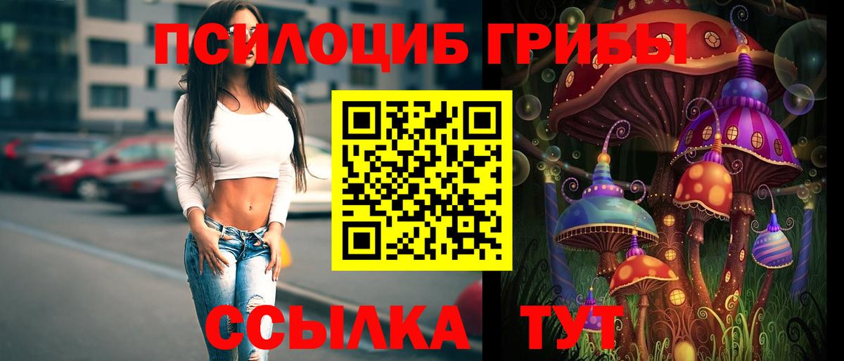 Волгоград  Галлюциногенные грибы Psilocybine cubensis  Вход с VPN 