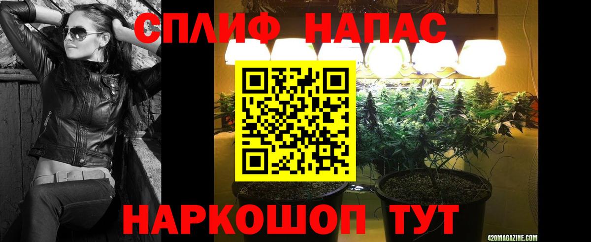 Бошки Шишки MAZAR Волгоград